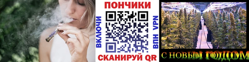 Бошки Шишки гибрид  Новый Оскол 